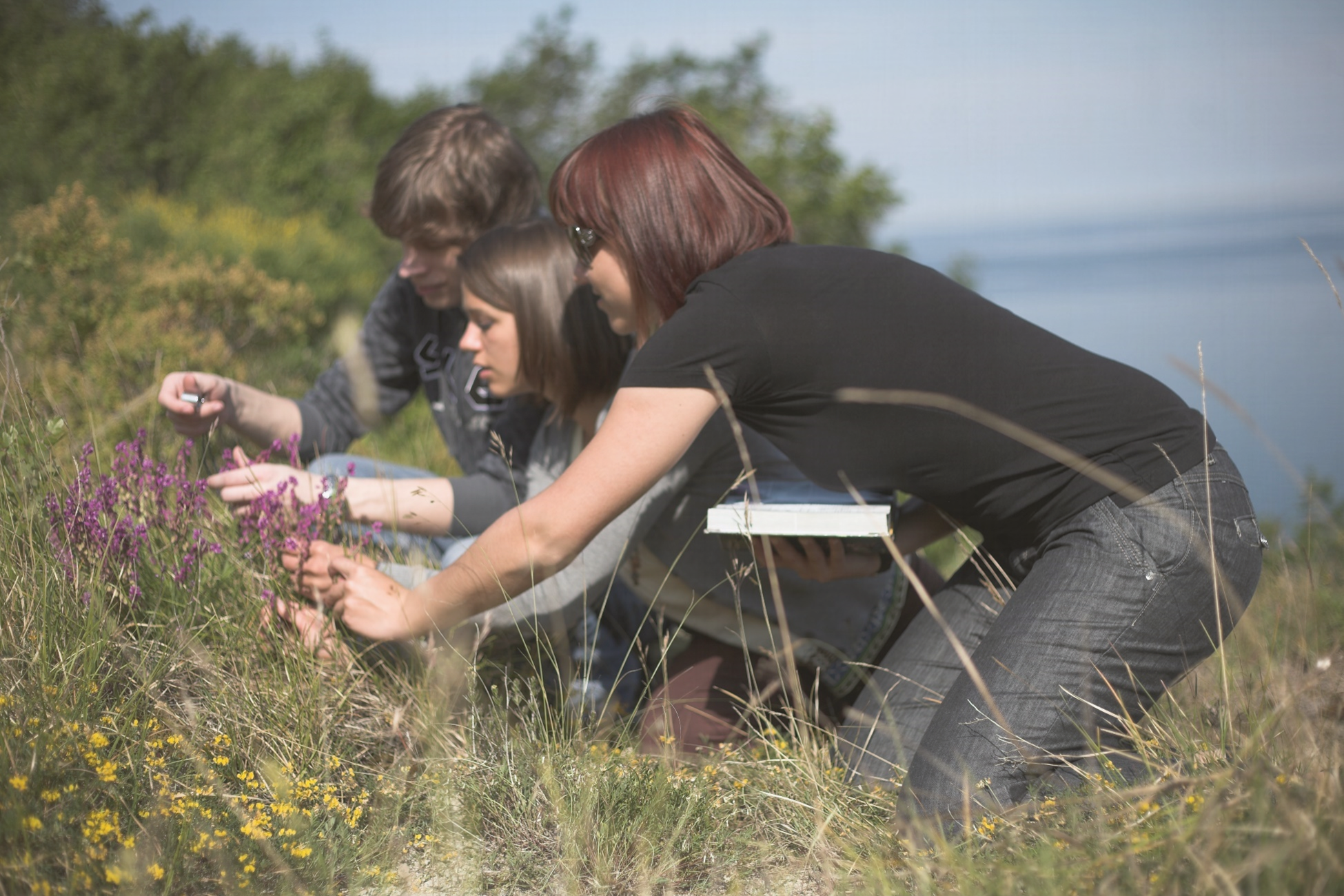 students examining flowers in a field