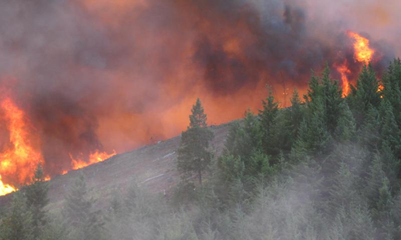 Douglas Complex fire Douglas Complex fire