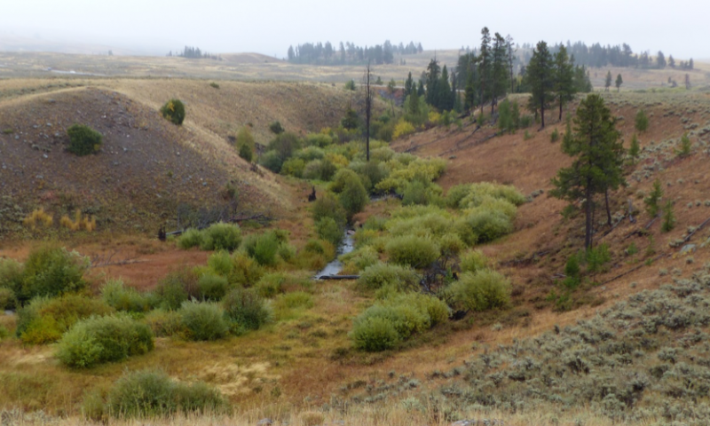 Blacktail Deer Creek Blacktail Deer Creek