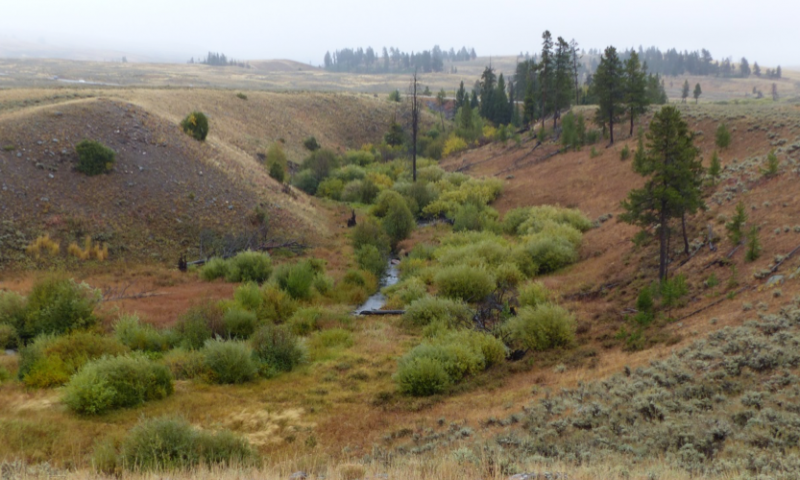 Blacktail Deer Creek