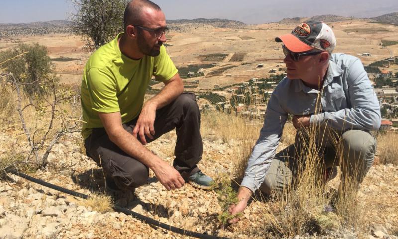 Lebanon Reforestation Initiative