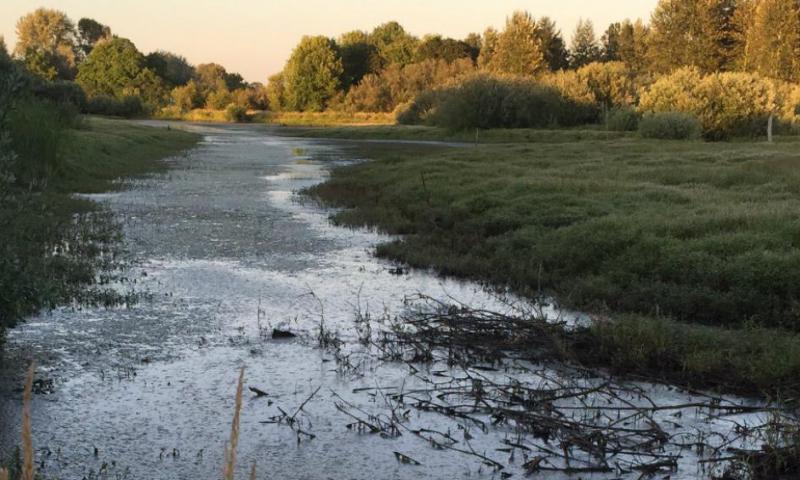 annual river flow annual river flow
